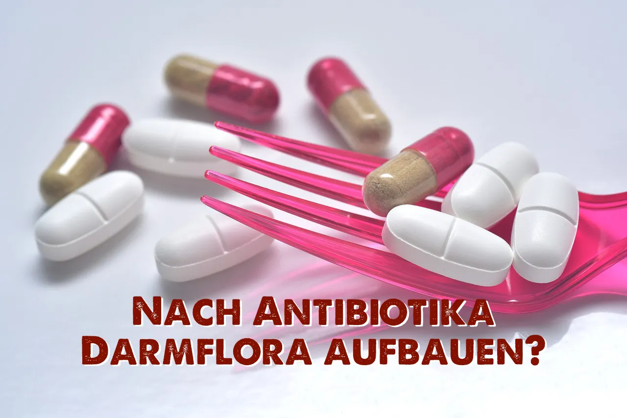 Nach Antibiotika Darmflora aufbauen